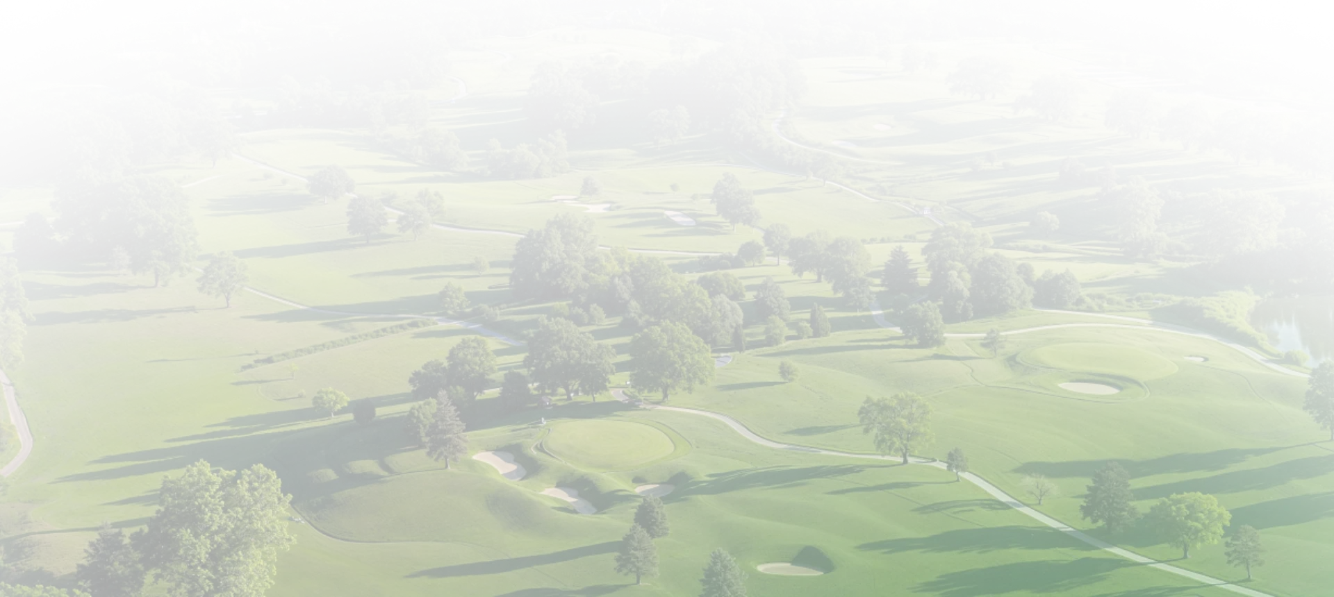 Elevate Your Game Today